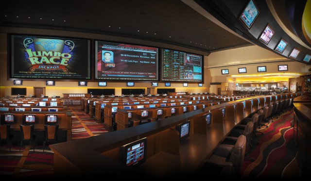 Pro sports bettors Pro sports bettors